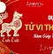 Tử Vi Tuổi Tuất Nam Mạng 1994 Năm 2025